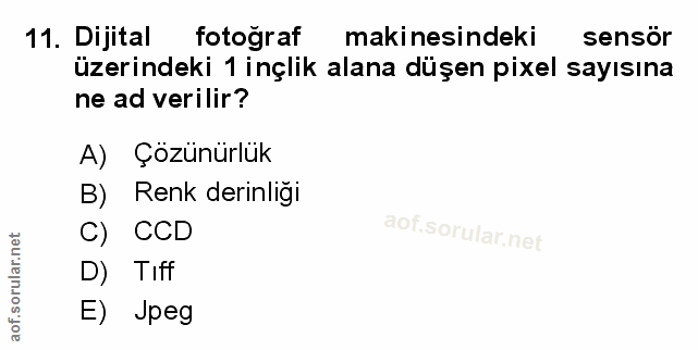 Soru 11