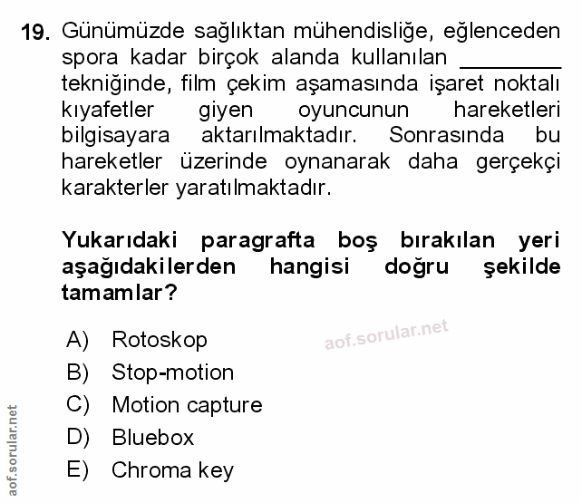 Soru 19