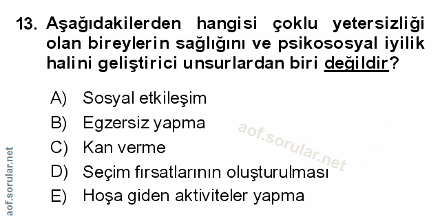 Soru 13