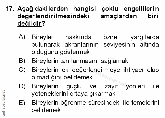 Soru 17