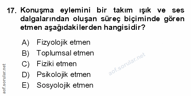 Soru 17
