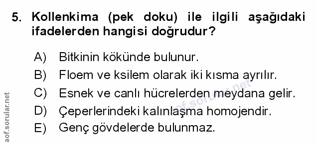 Soru 5