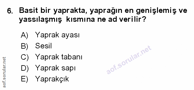 Soru 6