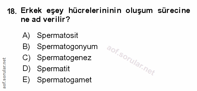 Soru 18