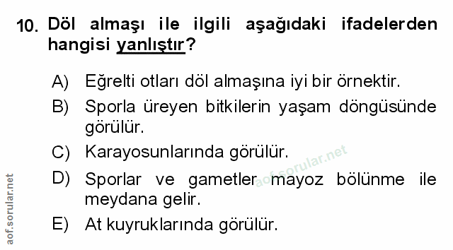 Soru 10