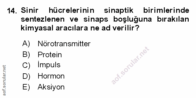 Soru 14