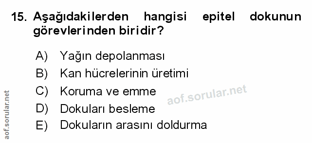 Soru 15