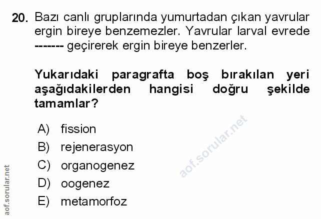 Soru 20