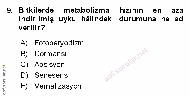 Soru 9