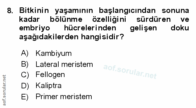 Soru 8
