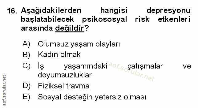Soru 16