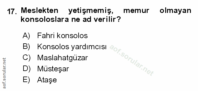 Soru 17