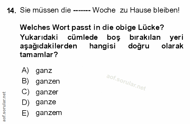 Soru 14