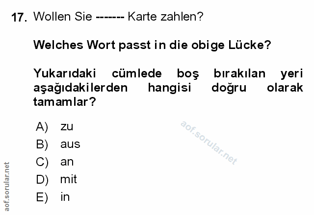 Soru 17