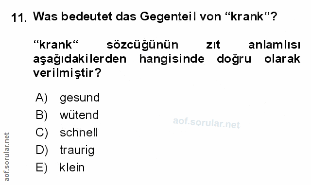 Soru 11
