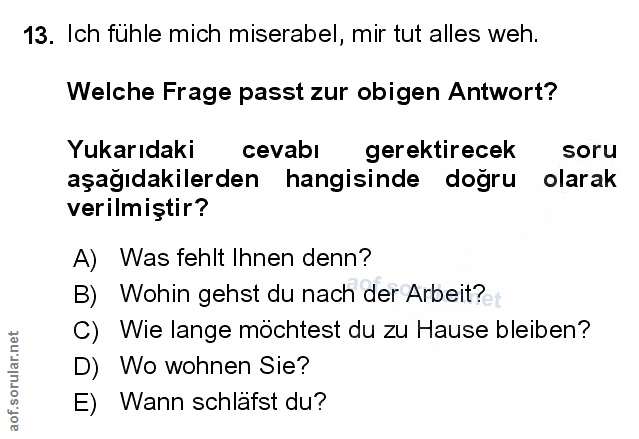 Soru 13