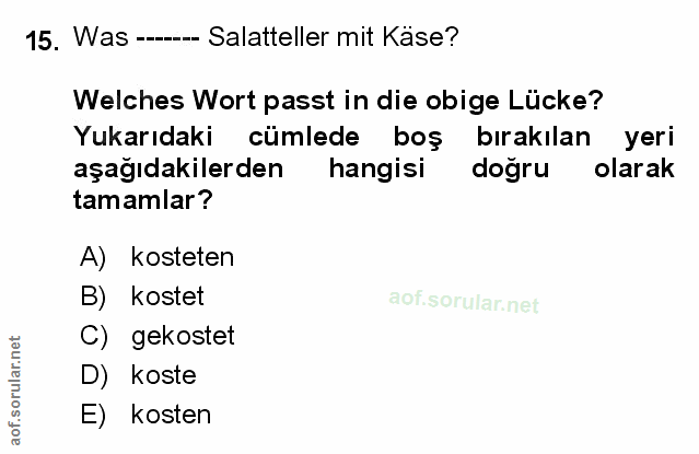 Soru 15