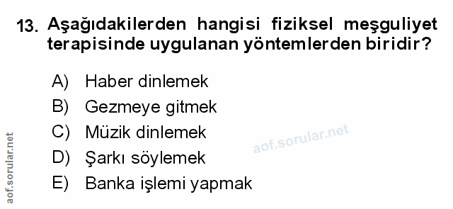 Soru 13