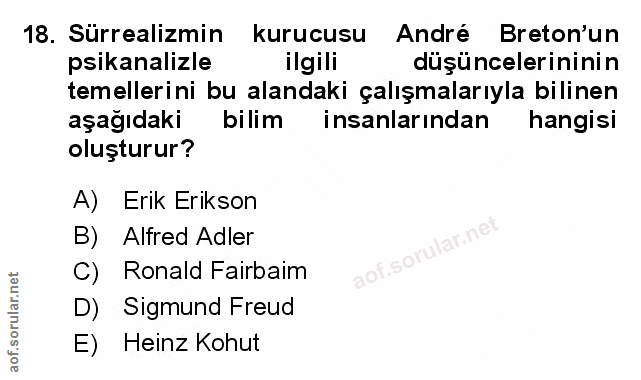 Soru 18