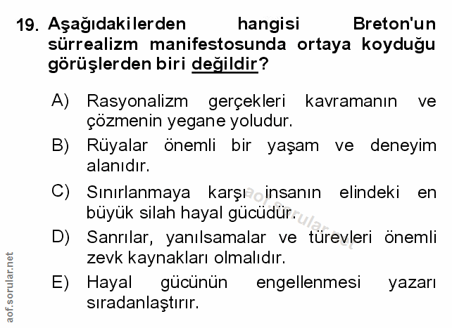 Soru 19