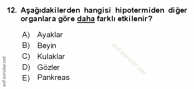 Soru 12