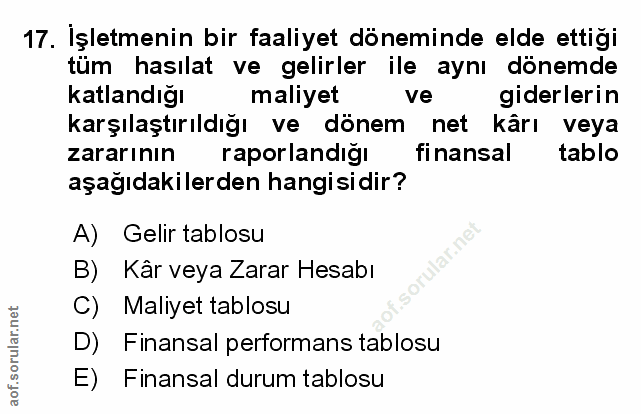 Soru 17