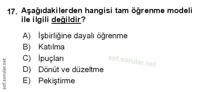 Soru 17