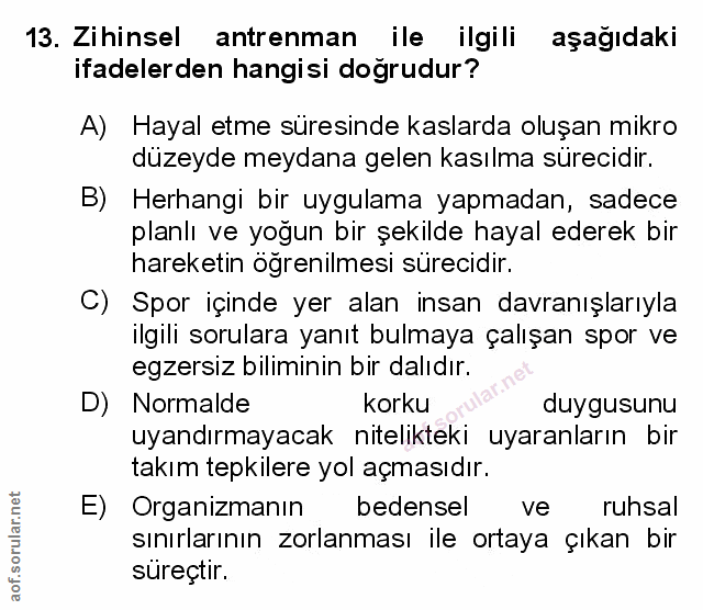 Soru 13