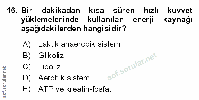 Soru 16