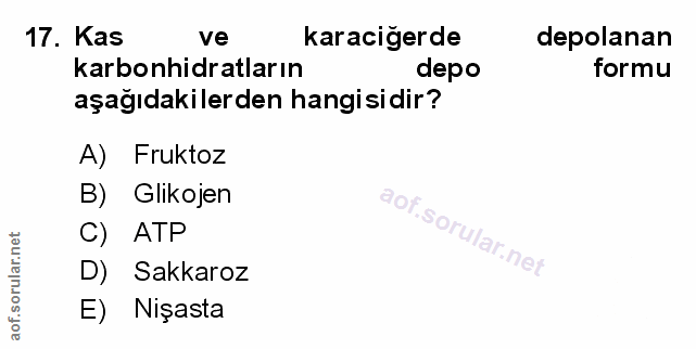 Soru 17