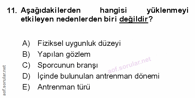 Soru 11