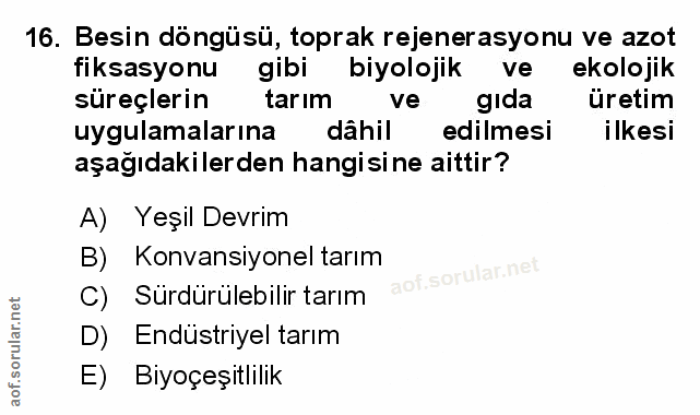 Soru 16