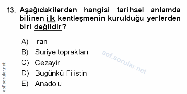 Soru 13