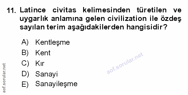 Soru 11