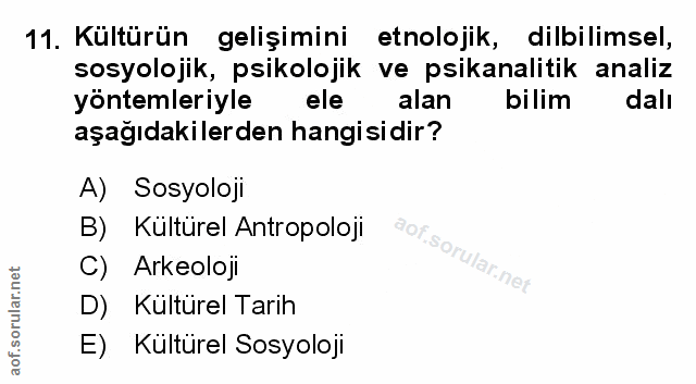 Soru 11