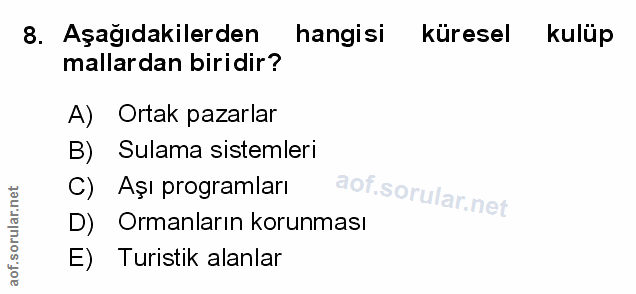 Soru 8