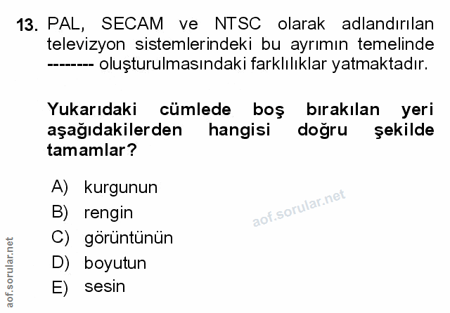 Soru 13
