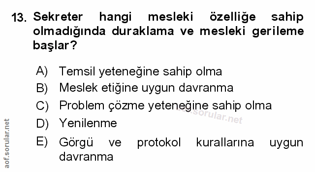 Soru 13