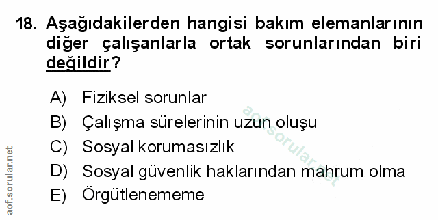 Soru 18