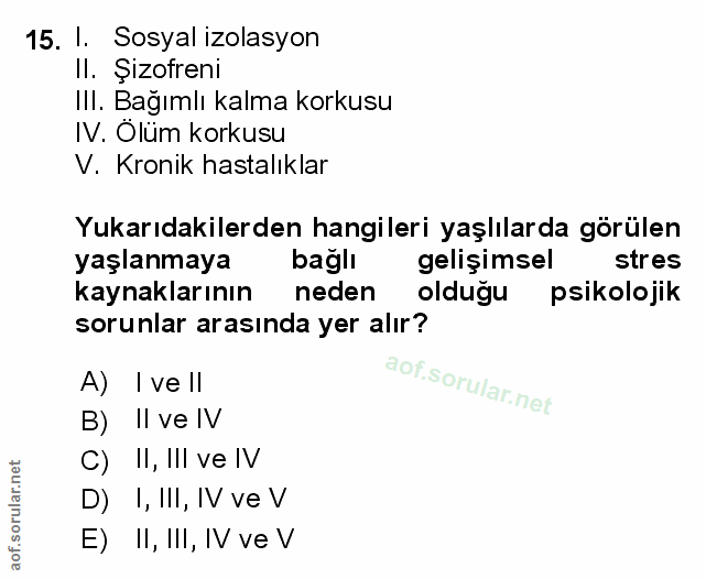 Soru 15