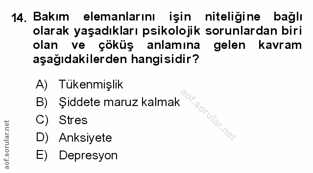 Soru 14