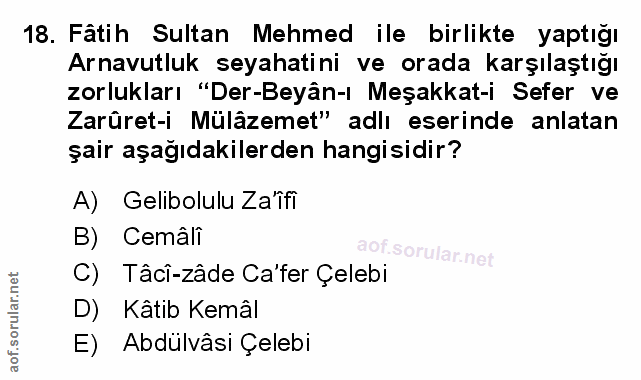Soru 18