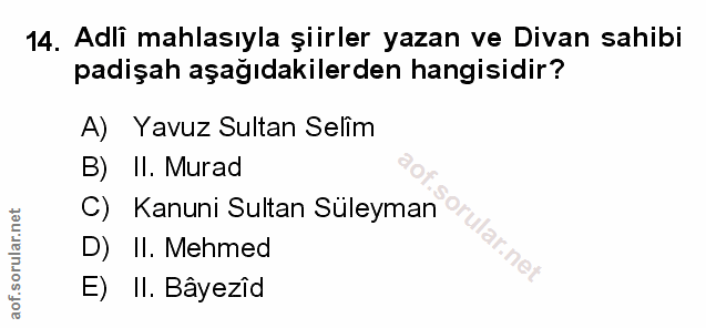 Soru 14