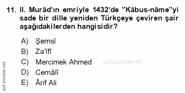 Soru 11