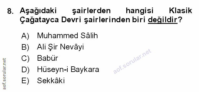 Soru 8