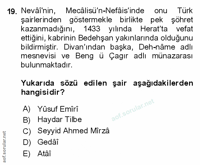 Soru 19