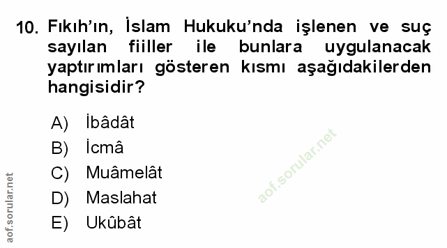 Soru 10