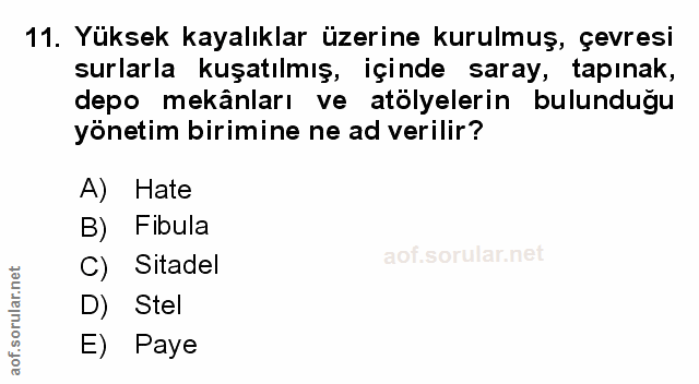 Soru 11