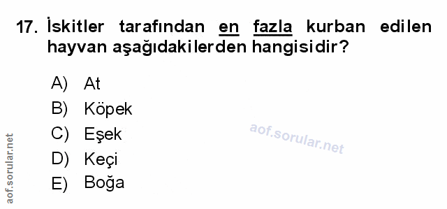 Soru 17