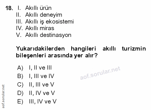 Soru 18